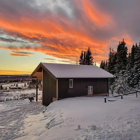 Cozy Near Gribbe With Alpine Skiing Nearby *