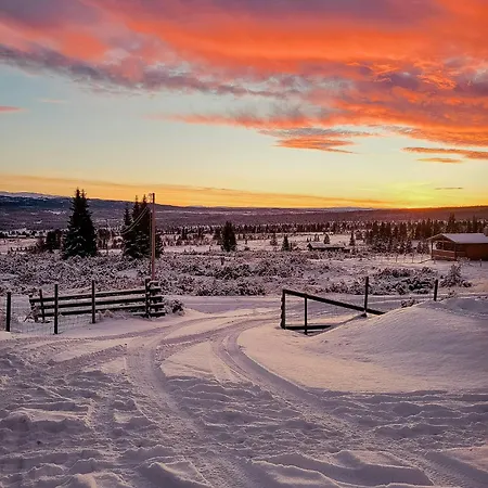 Cozy Near Gribbe With Alpine Skiing Nearby Tisleidalen