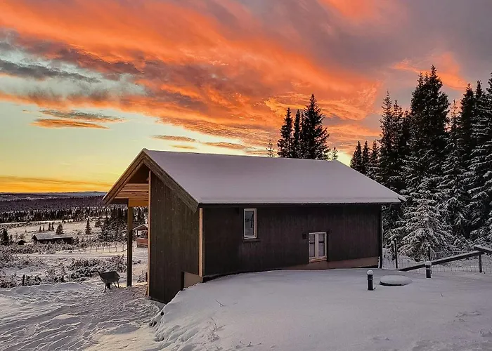 Feriehus Cozy Near Gribbe With Alpine Skiing Nearby Tisleidalen